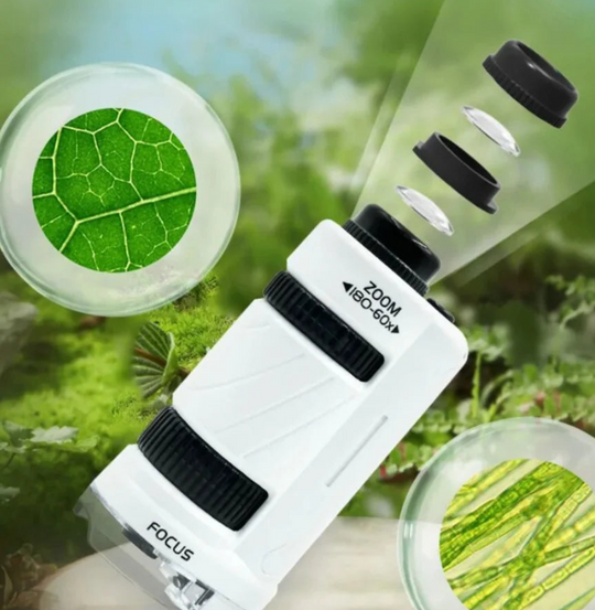 Kinder Microscope - Babyfirst24